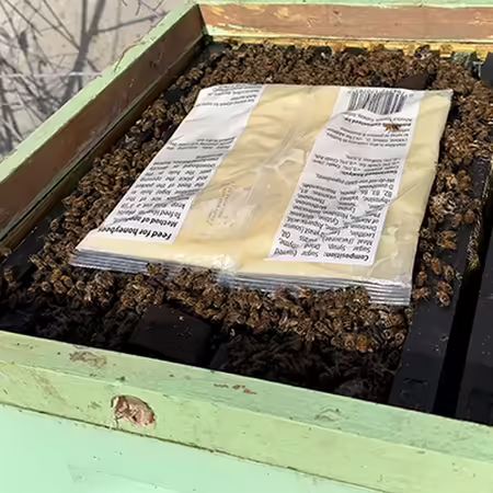 fondant packet placed on a  bee hive