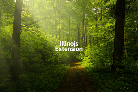 trees Illinois Extension wordmark