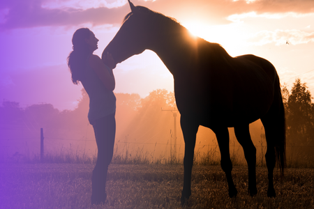 Silhouette of a woman and a horse