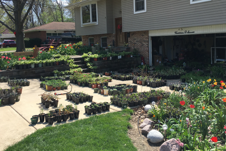 Master Gardener's driveway full of plants for sale