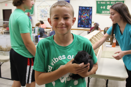 A young boy holds a rabbit at a 4-H show.