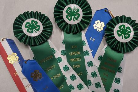 award ribbons with 4-H clover