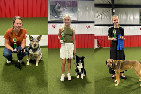 class winners and their dogs pose with ribbons