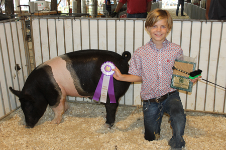 boy holding award and ribbon next to pig
