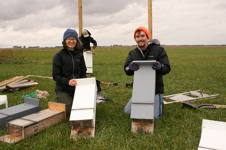woman and man in a field with boxes for bats