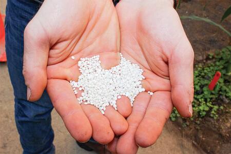 Recycled phosphorus fertilizer in hands  - Struvite