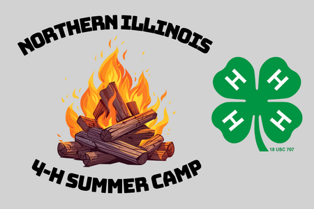 campfire and 4-H logo on gray background