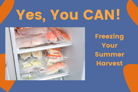 freezer with frozen vegetables