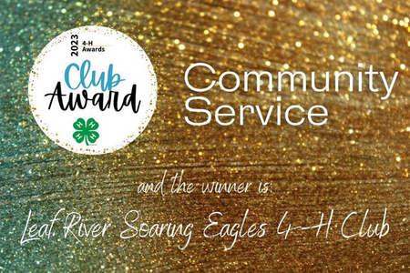 Text 4-H Club award, community service, Leaf River soaring Eagles club