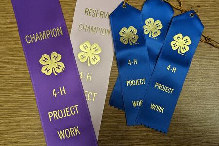 purple, pink, and 3 blue award ribbons