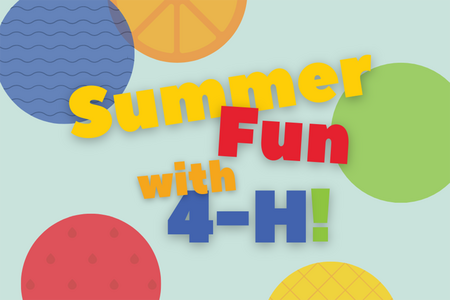 Summer Fun with 4-H!