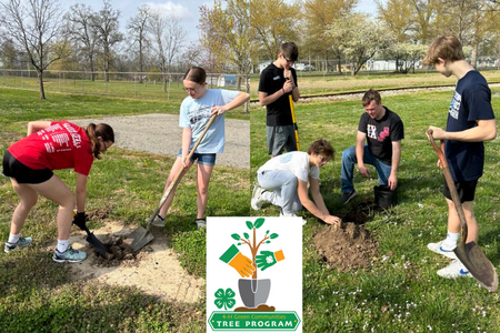 Teens plant trees together in fairgrounds.