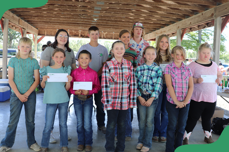 Local youth display awards from the Farm Bureau for placing in their local livestock shows.