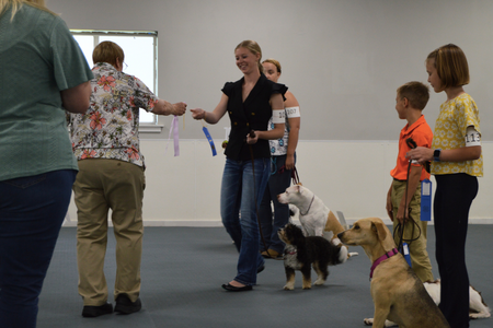 Youth standing with their dogs while one of them takes a ribbon from an older woman.