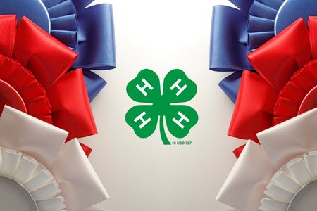 Red, blue, and white ribbons with a 4-H cloverleaf.