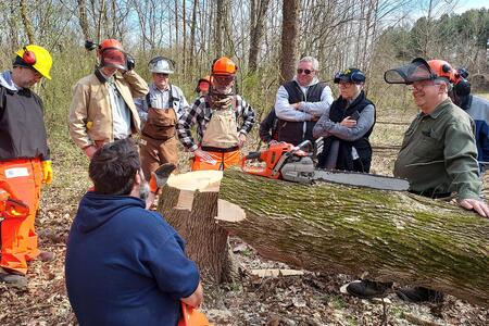 A group of people in safety gear stand around a fallen tree