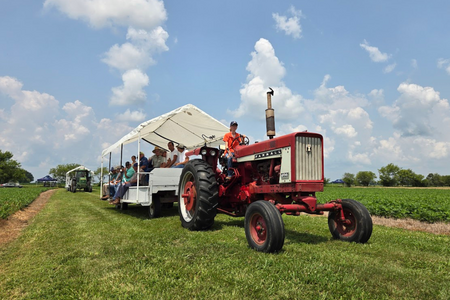 A tractor pulling participants throughout the field.