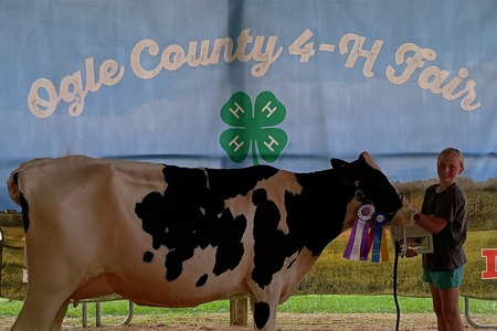 girl with dairy cow