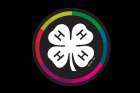 4-H symbol on a black background with a rainbow ring