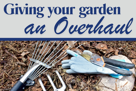 hand rake, garden rack, gloves and nippers on a backdrop of fall leaves