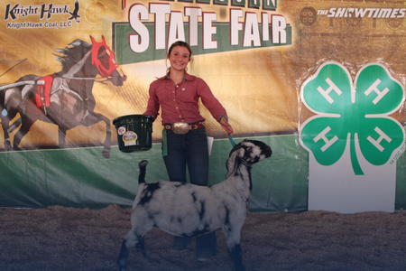 A young girl places with her prize winning goat at the fair.