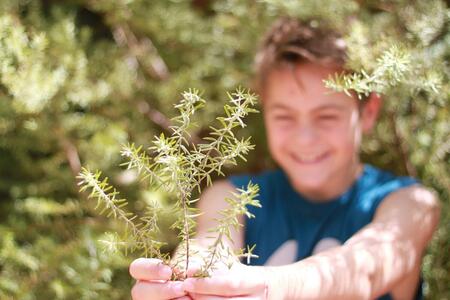 Youth planting a tree