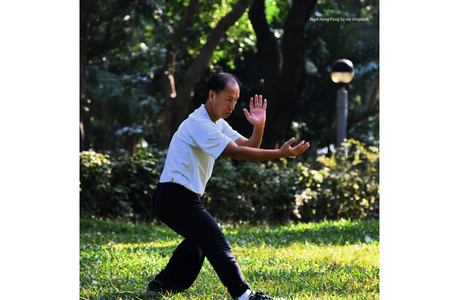 Man doing Tai Chi in a park