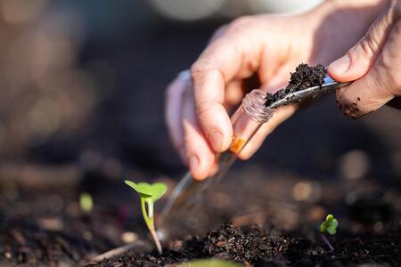 A person putting a single scoop of collected soil into a test tube for quality testing.