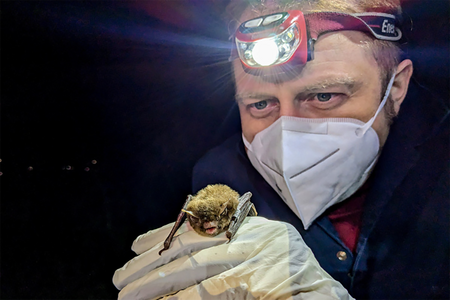 A masked man with a headlight holds a bat in gloved hands