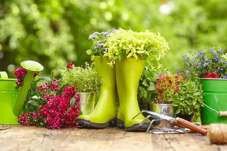 Rainboots surrounded by flowers and gardening tools