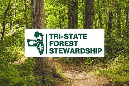 Tri-State Forest Stewardship logo with forest image in background