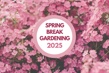 Spring Break Gardening 2025 with Flowers