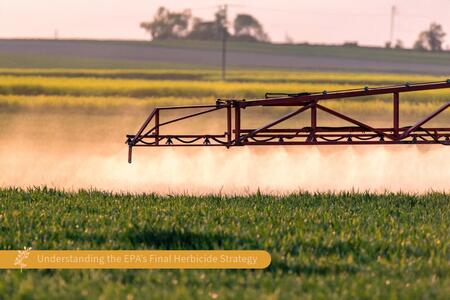 sprayer in the field spraying mist