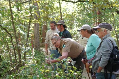 master naturalist volunteers at Starved Rock State Park