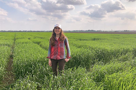A person stands in the middle of a crop field. 