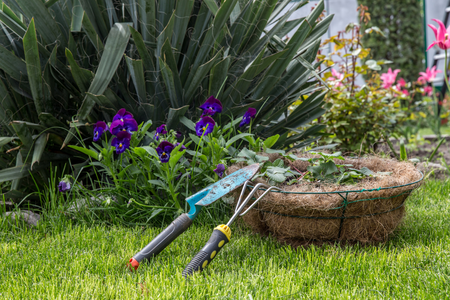 Gardening potted flowers
