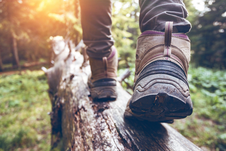 Person walking on a log