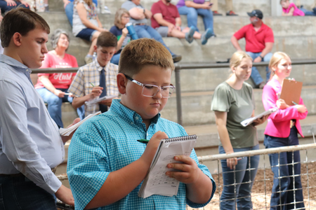 Youth recording answers at the contest.