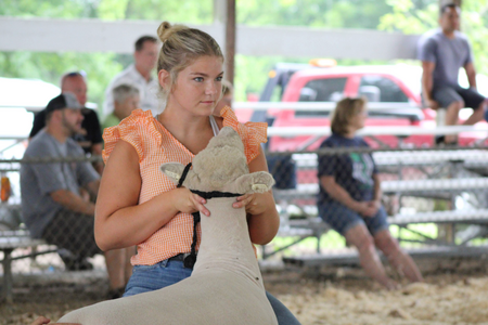 Teen girl presenting a sheep