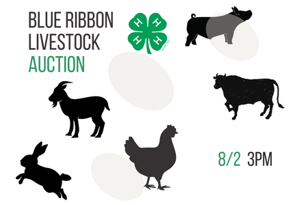 text blue ribbon livestock auction with animals
