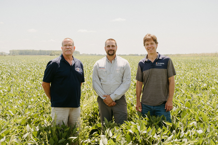 Three crop researchers stand posed in a knee high soybean field 