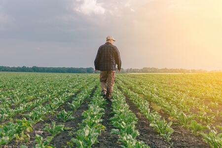 a man walking through a field