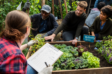 a diverse group of adults working around a raised community garden bed