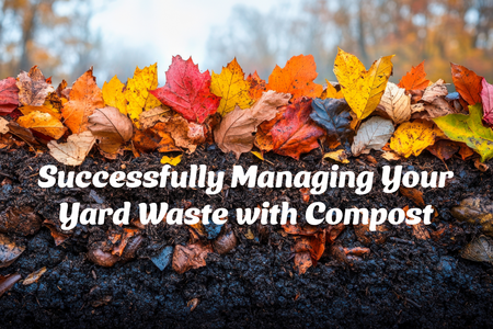 Leaves and compost