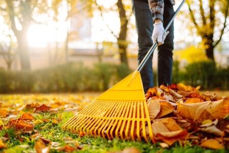 A person raking leaves in a yard