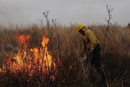 A person in safety gear stands near a fire in a grassland