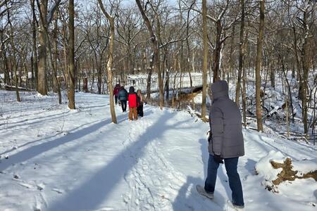 people walking in snow