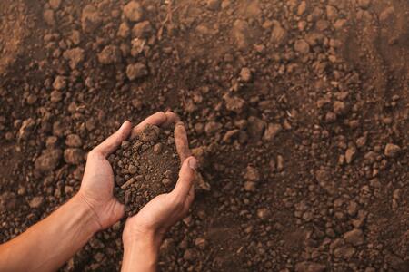Hand holding soil in field