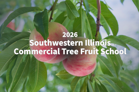 Peaches on a tree with 2026 Southwestern Illinois Commercial Tree Fruit School text.