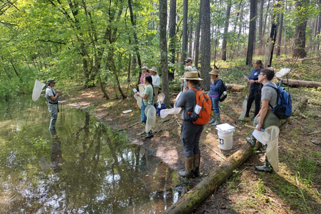 A presenter with a fishing net standing in a creek talking to a group of interested patrons.